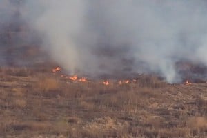 Las llamas alimentadas por la sequedad del suelo y las altas temperaturas, dificultaron las tareas