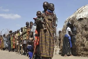 El gen STC1 les permite sobrevivir en el desierto con dietas ricas en purinas,  pese a la deshidratación y el calor extremo.