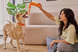 Estrategias para mantener el hogar fresco durante el calor.