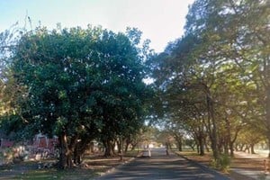 Gomeros problemáticos. Los vecinos llevan más de una década insistiendo con sus reclamos al municipio santafesino.