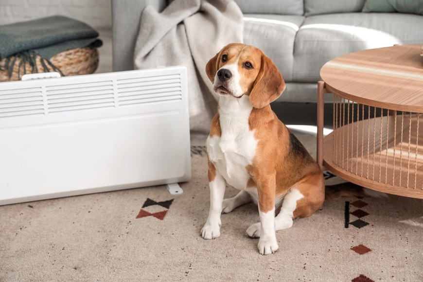 Ventilar los ambientes ayuda a reducir la temperatura interior.