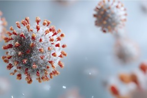 Las cepas “Stratus” y “Nimbus” habrían duplicado la tasa de contagios