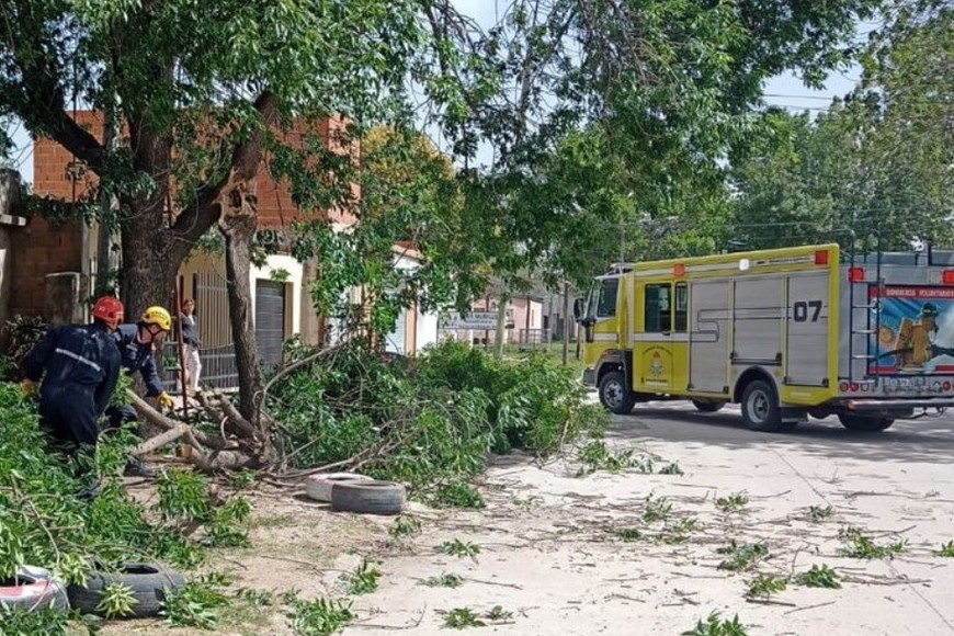 Ramas caídas a causa del viento en Venado. Crédito: Bomberos de Venado Tuerto.