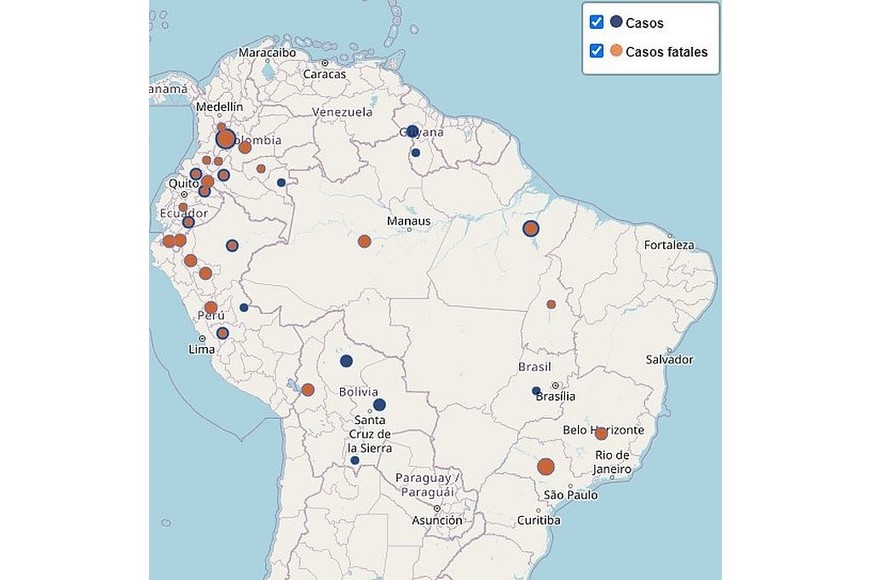 Distribución geográfica de casos y casos mortales de fiebre amarilla en la región de las Américas, 2024-2025. OPS.