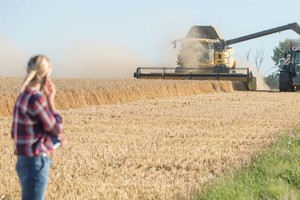 Durante la jornada, productoras de Misiones y Entre Ríos compartirán sus experiencias de trabajo y vida en el ámbito rural, así como los desafíos y aprendizajes que atraviesan en su actividad diaria.