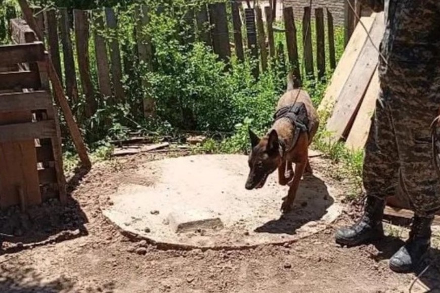 Los allanamientos fueron realizados con colaboración de distintas áreas de la fuerza de seguridad provincial