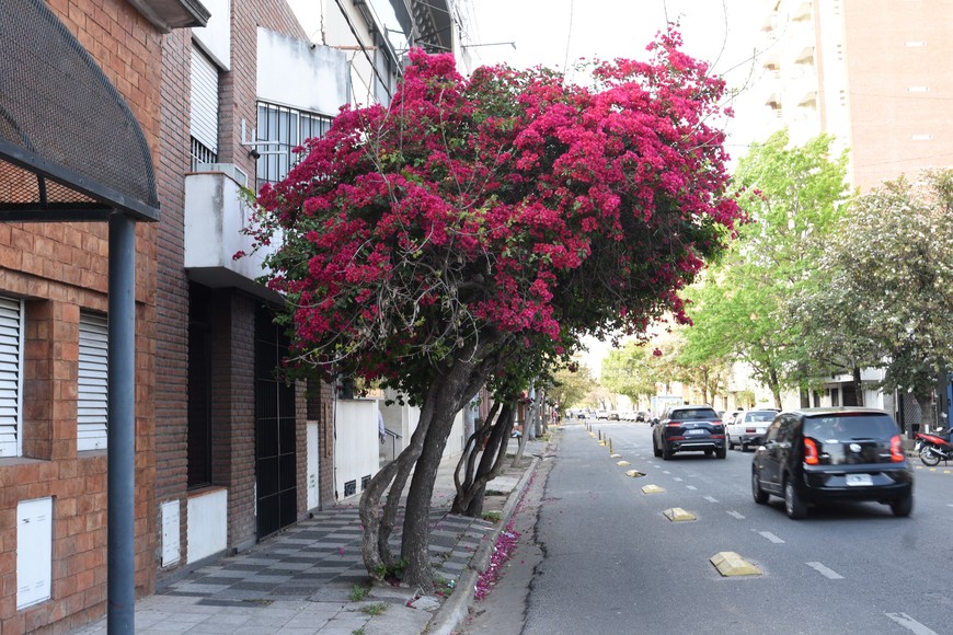 Se mantendrán las temperaturas primaverales. Crédito: Mauricio Garín