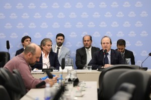 Daniel González Energía y Minería de la Nación Crédito: HCDN.