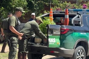 Los Pumas secuestraron plantas de marihuana en el domicilio de dos de los sospechosos.