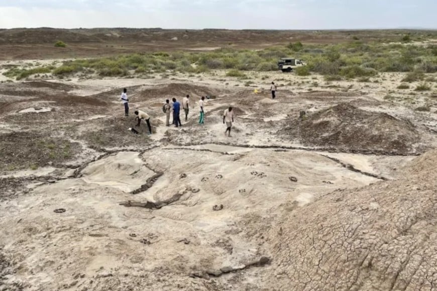 El yacimiento de Koobi Fora ha revelado una rica variedad de fósiles.