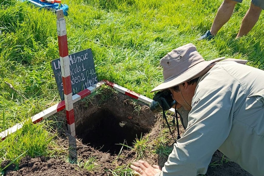 Vista del equipo durante las jornadas de excavación junto a la laguna. El avance del agua obligó a realizar tareas urgentes de recuperación del material arqueológico.PH: Internet