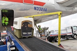 la indemnización por los daños derivados de la pérdida de una mascota está sujeta a las normas de responsabilidad por equipaje.