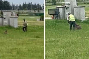 Las imágenes quedaron registradas en video y rápidamente se viralizaron.