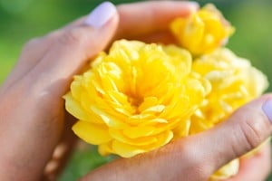 Destellos de color amarillo activan el sector de la prosperidad en el espacio.