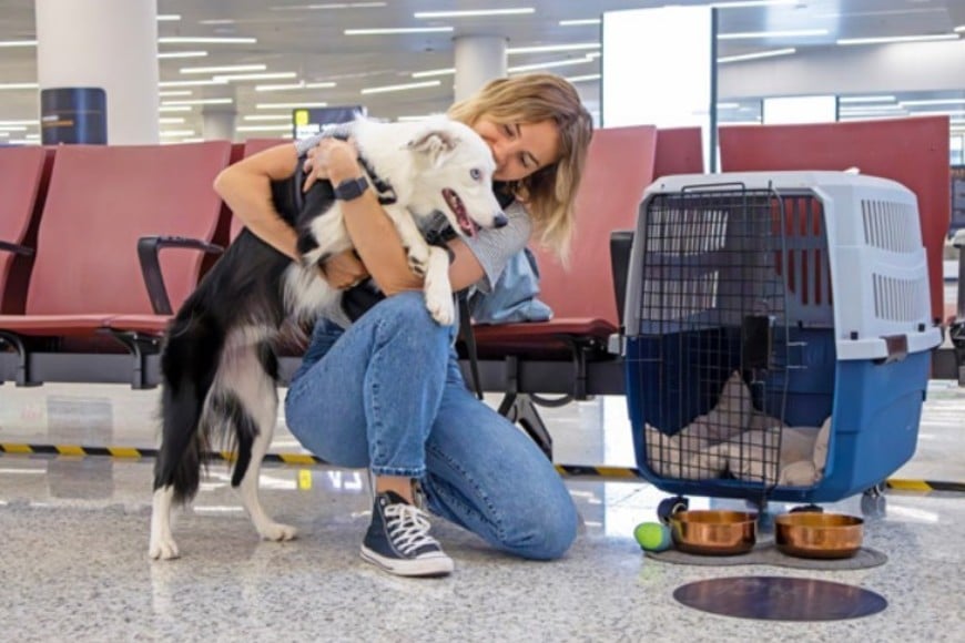 El fallo consideró el Convenio de Montreal, que  regula los viajes aéreos.