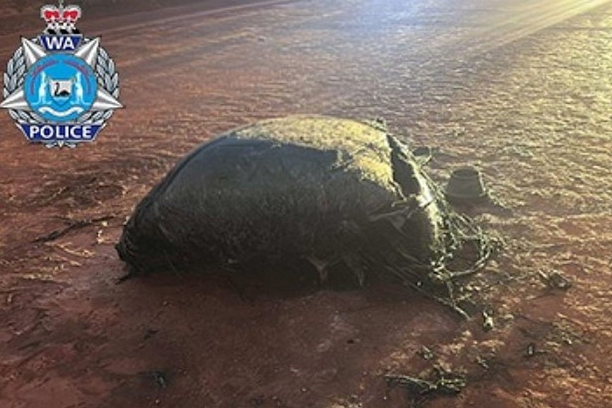 Foto: Policía de Pilbara