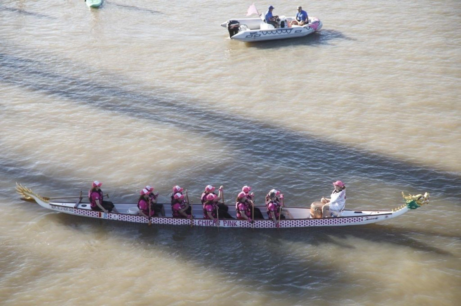 Santafesinos participaron de la jornada “Vestite de Rosa” para promover la detección temprana del cáncer de mama. 