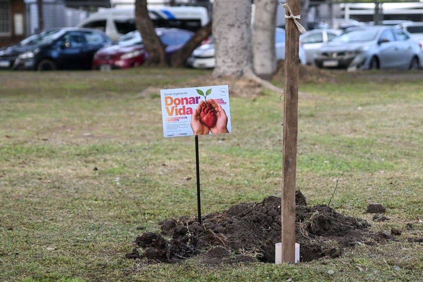 El Cudaio es un organismo de referencia a nivel nacional.