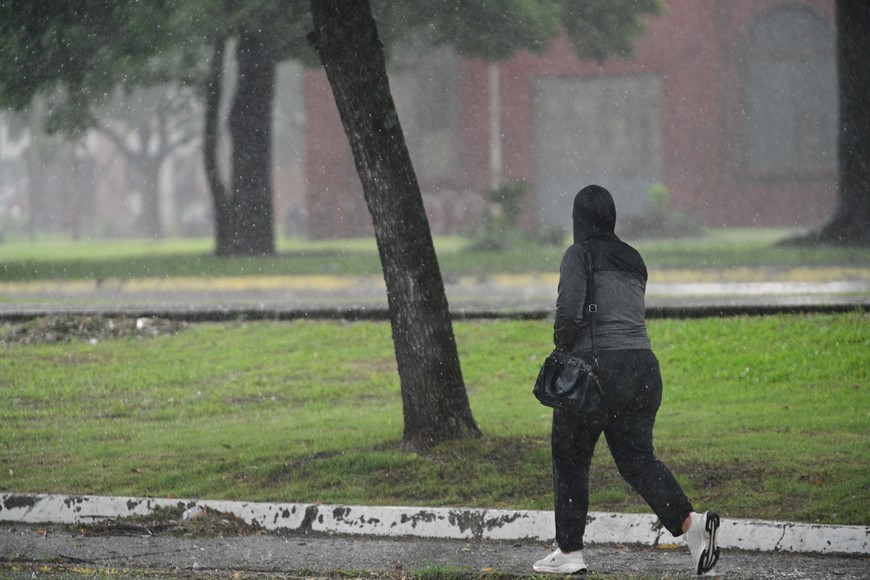 Imagen ilustrativa. Crédito: Flavio Raina