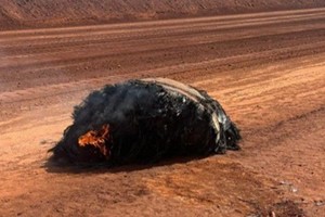 Foto: Policía de Pilbara