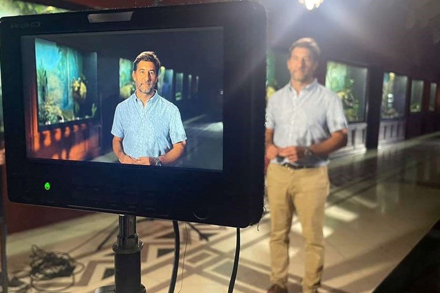 Ciervo de los pantanos.