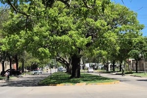 Zona en la que ocurrió el hecho.