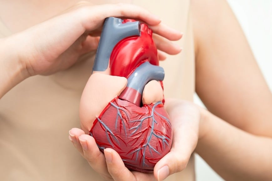 La Fundación Cardiopatías Congénitas celebrará sus 15 años con un encuentro destinado a la comunidad médica.