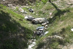 En varias esquinas se acumulan ramas, residuos y restos de poda.