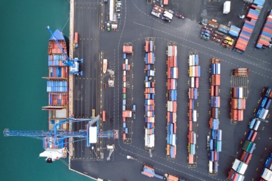 Los investigadores sospechan que los mosquitos llegan al Atlántico Norte en “barcos o contenedores”.