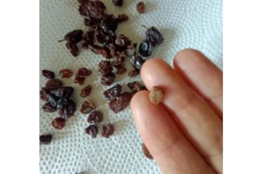 Un consumidor encontro una piedra en la bolsa del producto