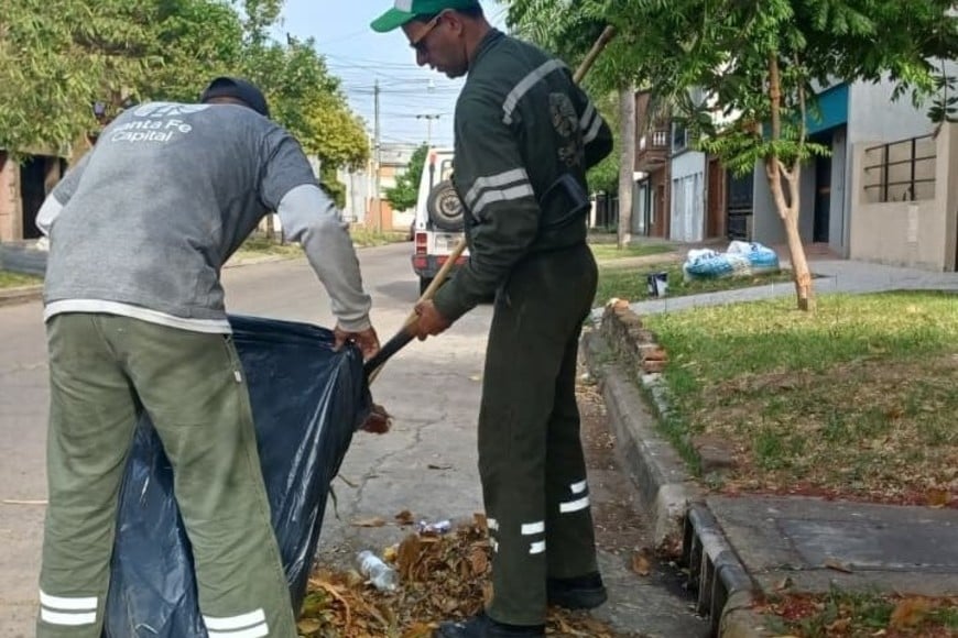 Las cuadrillas municipales en acción. MCSF