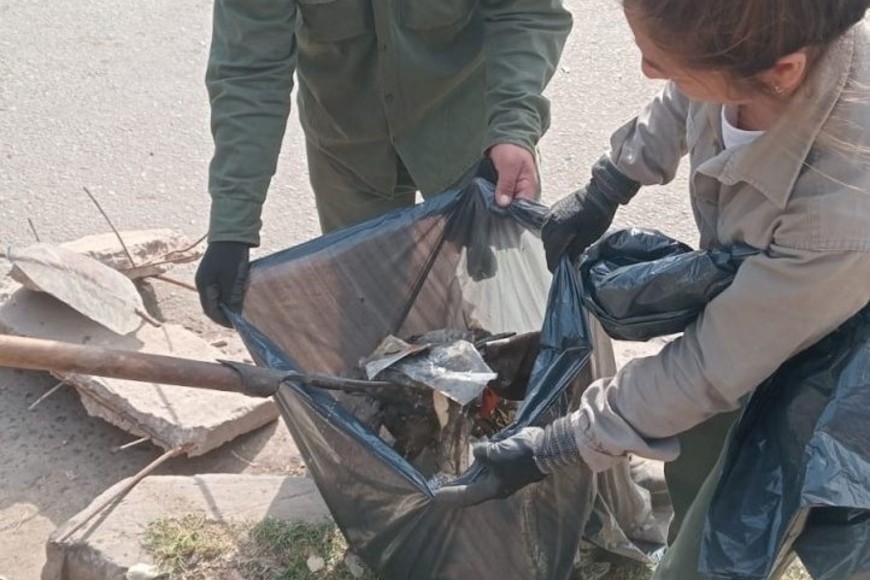 Las cuadrillas municipales en acción. MCSF