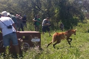 “Esto refleja el compromiso de la gestión del gobernador Pullaro y de la vicegobernadora Scaglia con la biodiversidad”, subrayó el ministro santafesino de Ambiente y Cambio Climático, Enrique Estévez.

Gobierno Provincial.