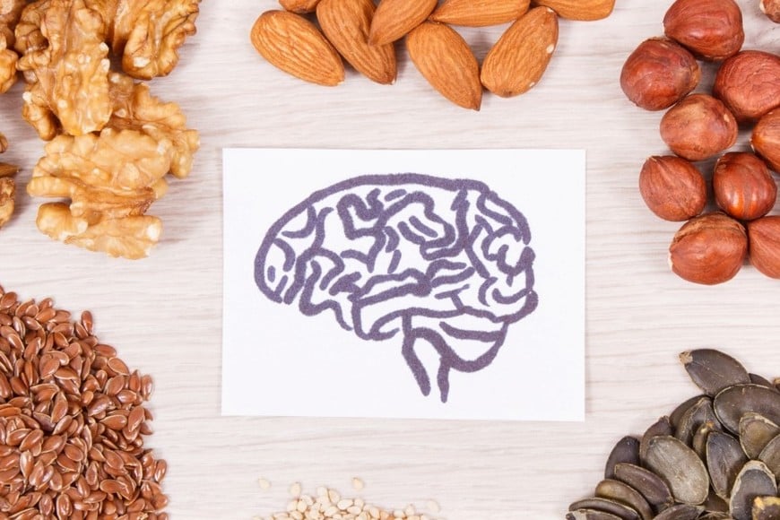 Omega 3 (DHA), para la formación de vainas de mielina y la sinaptogénesis (la conexión entre neuronas).