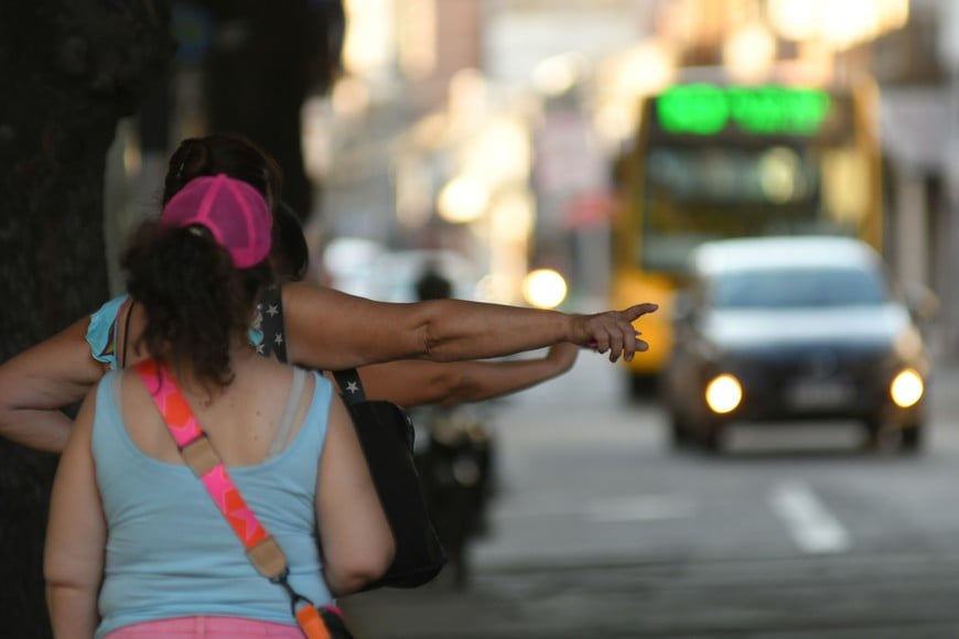 El colectivo no tendrá costo en la capital santafesina. Crédito: Manuel Fabatía