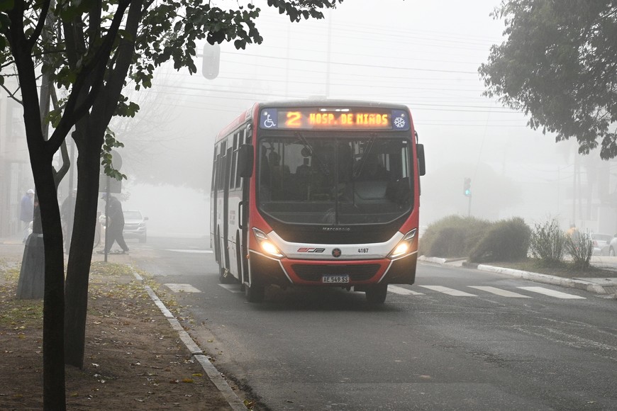 El colectivo no tendrá costo en la capital santafesina. Crédito: Flavio Raina
