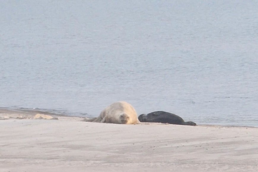 Madre e hijo reciben cuidados diarios en la playa de Piriápolis.