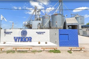 Empresa productora de alimentos balanceados Vigor. Foto: Gentileza