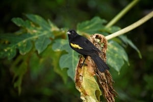 Jardín Florido. Fotorreportaje: Pablo Rodas (gentileza).
