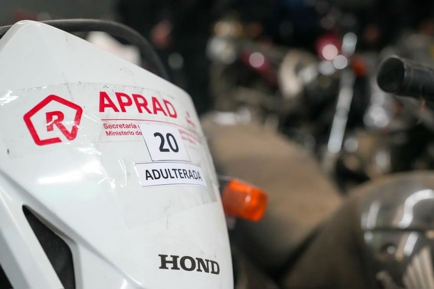 Personal especializado realiza el relevamiento técnico y jurídico de los rodados.