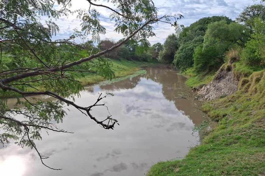 Jardín Florido. Fotorreportaje: Pablo Rodas (gentileza).