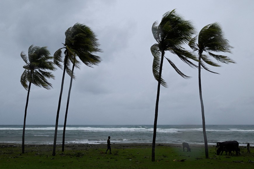 A man herds cattle along the coastline ahead of Hurricane Melissa's landfall, in Santiago de Cuba, Cuba, October 28, 2025. REUTERS/Norlys Perez TPX IMAGES OF THE DAY