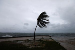 El viento en la costa de Kingston mientras se acercaba el huracán Melissa, en Jamaica. REUTERS/Octavio Jones