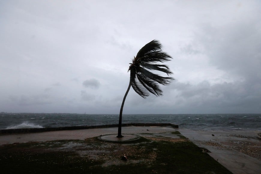 A palm tree sways on the Kingston waterfront as Hurricane Melissa approaches, in Kingston, Jamaica, October 27, 2025.  REUTERS/Octavio Jones