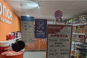 Robo y vandalismo en una pinturería. Foto: Gentileza