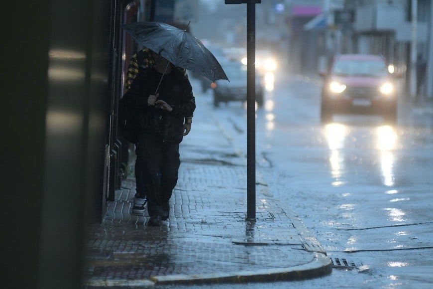 Imagen ilustrativa. Crédito: Guillermo Di Salvatore