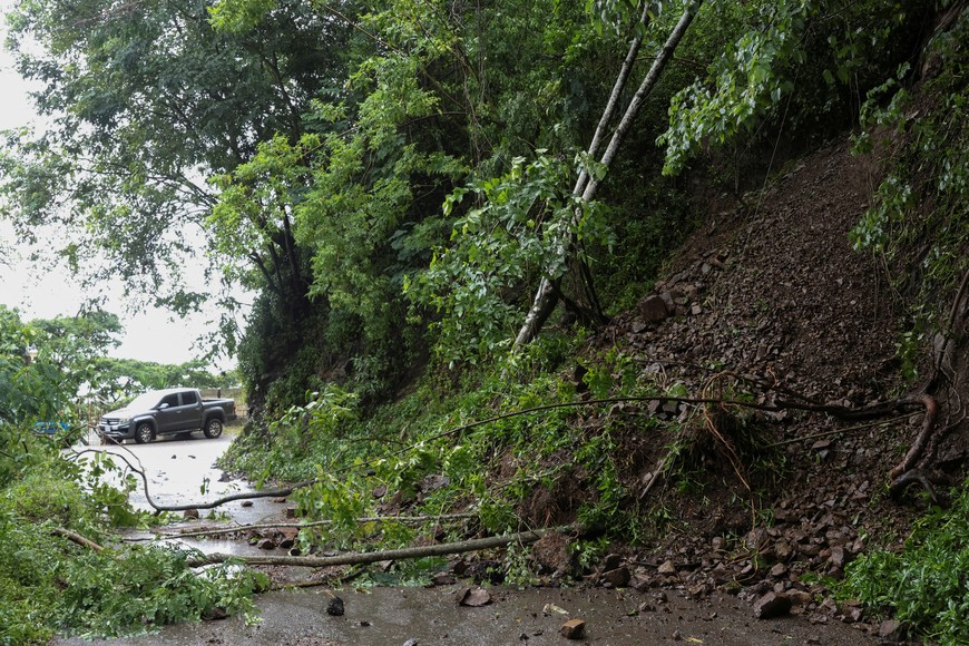 Downed tree branches block a road as Hurricane Melissa approaches, in Gordon Town, Jamaica October 28, 2025. REUTERS/Gilbert Bellamy
