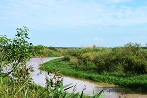 El predio forma parte del Legado Deliot, una donación testamentaria realizada a favor de la ciudad de Rosario.