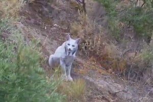 Las imágenes fueron registradas y publicadas por Ángel Garrido Hidalgo.