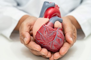 La Fundación trabaja para acompañar a familias y pacientes en todo el recorrido